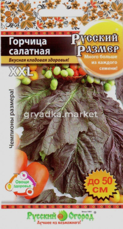 Горчица Салатная Рус.Размер 100шт. НК
