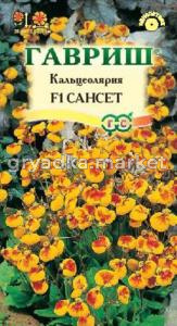 Кальцеолярия Сансет F1 5шт Саката (Гавриш) Эксклюзив