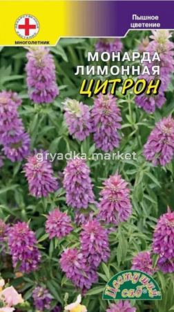 Монарда Лимонная Цитрон 0,05г Мн 90см (Цвет сад)