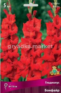 Гладиолус Бонфайр 12-14 крупн. 5шт