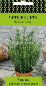 Розмарин лекарственный Росинка 10шт (Поиск) Четыре лета