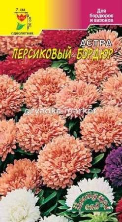 Астра Бордюр Персиковый 0,3г.Цвет.сад.