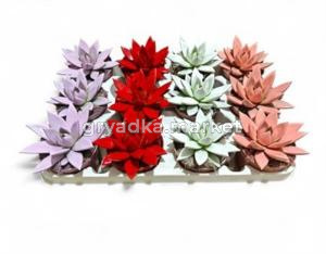 Эхеверия Агавоидес Лав Микс С8,5 Н15