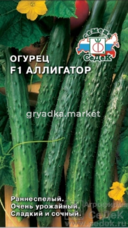 Огурец Аллигатор  2 F1  Седек