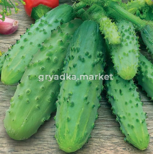 Скриншот 31-10-2024 102333