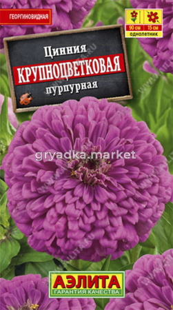 Цинния Крупноцветковая пурпурная (Аэлита)