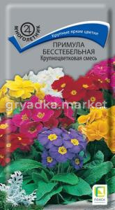 Примула Крупноцветковая бесстебельная 0,04г.Поиск