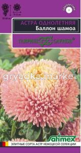 Астра Баллон Шамоа густомахровая 0,05г Одн 60см (Гавриш) Эксклюзив