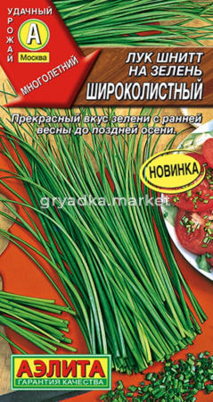 Лук шнитт на зелень Широколистный 0,5г Ср (Аэлита)