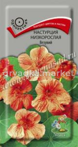 Настурция низкорослая Везувий (ЦВ) (