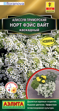 Алиссум Норт фэйс вайт каскадный 12шт Одн 15см (Аэлита)