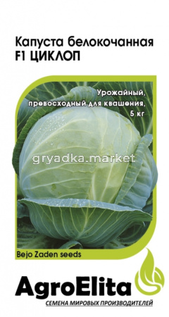 Капуста б-к Циклоп F1 10 шт Саката (АгроЭлита) Голландия