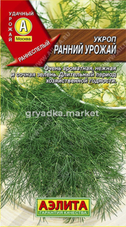Укроп Ранний урожай (Аэлита)
