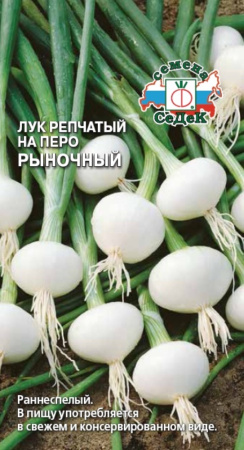 Лук на зелень Рыночный 1г (Седек)