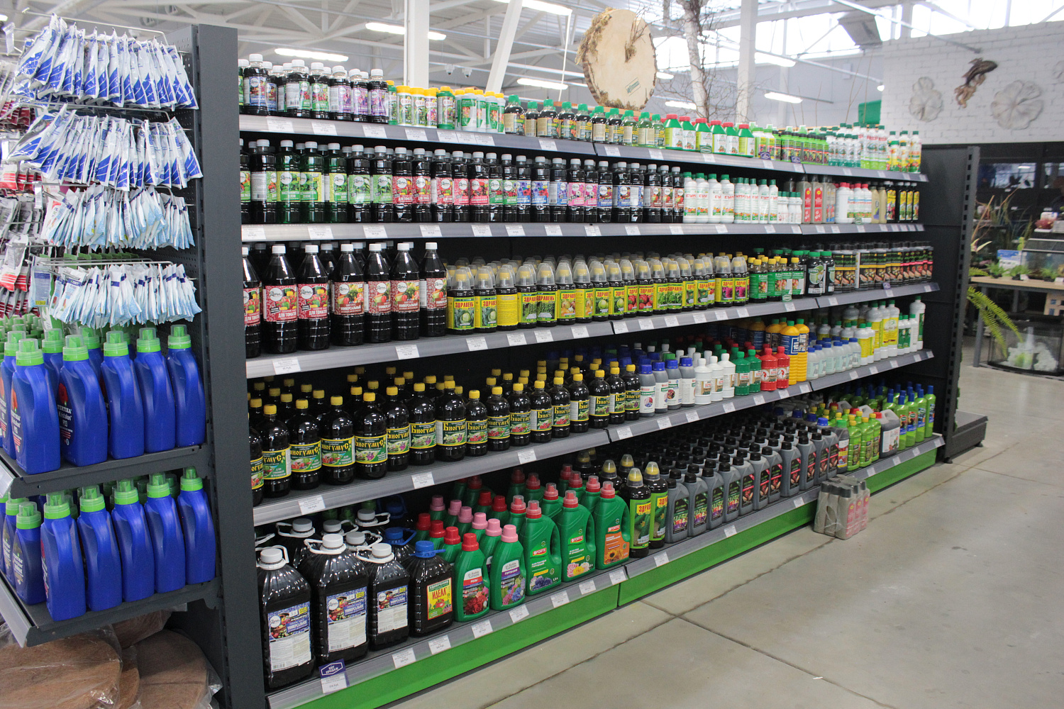 Как ухаживать за рассадой? Всего 8 пунктов, но чрезвычайно важных.