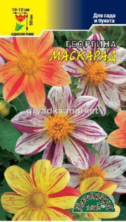 Георгина Маскарад смесь Цвет.сад