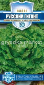 Салат Русский богатырь (гигант) 0,5 г -полукочан.-серия Русский богатырь Н13