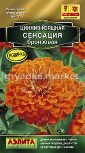 Цинния Сенсация бронзовая (Аэлита)