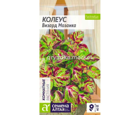 Колеус Визард Мозаика 10шт (Сем Алт)