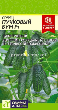 Огурец Пучковый Бум F1 5 шт (Сем Алт)