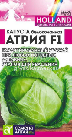 Капуста б-к Атрия F1 12шт Позд (Сем Алт) Seminis Голландские