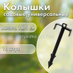 Кт 01