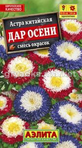 Астра Дар осени ,смесь Аэл.