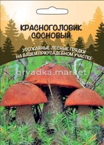 Мицелий Красноголовик гриб Сосновый 30мл (УД) ССПК Б-Ф