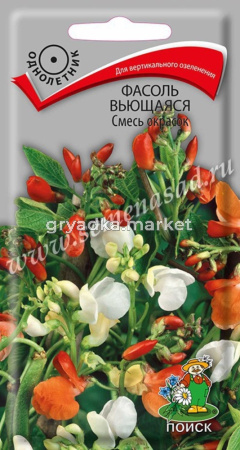 Фасоль декор Смесь окрасок 5шт. Поиск