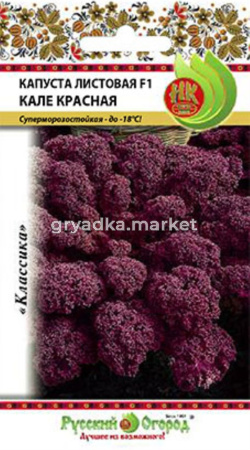 Капуста листовая Кале Красная F1 50шт НК