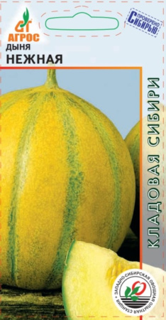 Дыня Нежная 10шт Ср (Агрос)