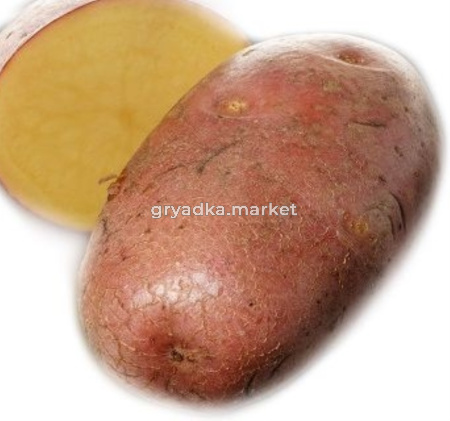 Картофель Бегемот Ср Элита ~20кг