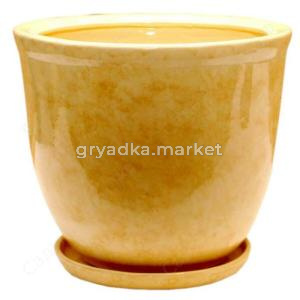 Кедр 2 горшок с поддоном 8л d25см беж.