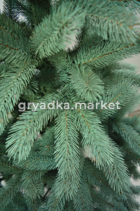 Миранда BLUE 2