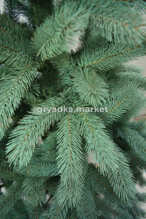 Миранда BLUE 2