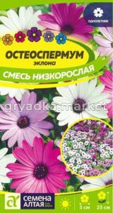 Остеоспермум Смесь низкорослая 0,1г Одн 25см (Сем Алт)