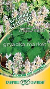 Котовник Кентавр 0,2г.автор.селекция Гавриш