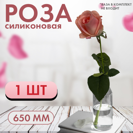 РОЗА12 РОЗА12