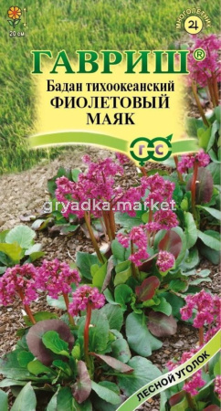 Бадан Фиолетовый маяк тихоокеанский  0,01г (Гавриш) Н23