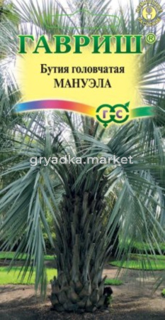 Бутия головчатая Мануэла 3 шт Мн (Гавриш)