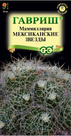 Маммиллярия Мексиканские звезды (Кактус) 2шт Комн 10см (Гавриш)