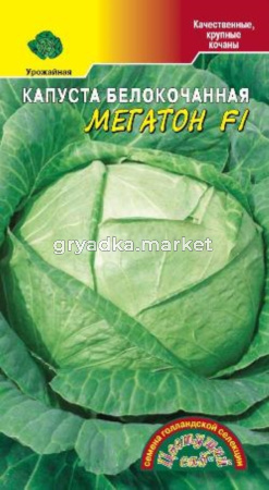 Капуста б-к Мегатон F1 Цвет.сад.