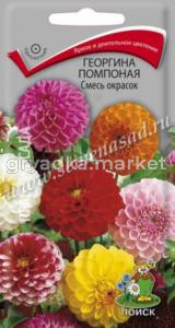 Георгина помпонная Смесь окрасок (ЦВ ) (