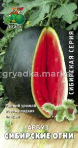 Арбуз Сибирские огни (сиб.серия) (ЦВ) 15шт. Поиск