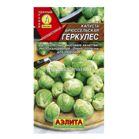 Капуста брюссел. Геркулес (Аэлита)
