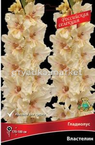 Скриншот 20-02-2025 143142