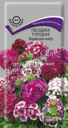 Гвоздика Турецкая Индийский ковёр (ЦВ) (