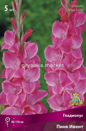 Гладиолус крупноцветковый  Пинк Ивент (светло-розовый, 5шт, 12-14)