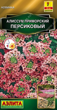 Алиссум Тёмно-розовый приморский 0,1г Одн 25см (Аэлита)