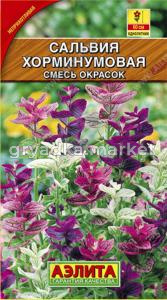 Сальвия Хорминумовая, смесь окрасок Аэлита
